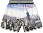 Supreme / Mitchell & Ness® Basketball Short "Multi"