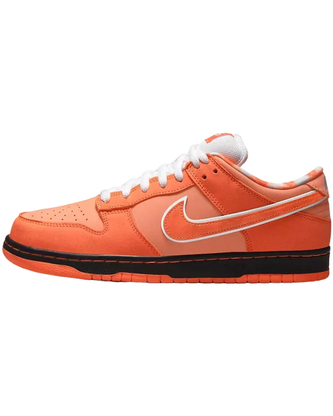 Concepts × Nike SB Dunk Low SP Orange Lobster