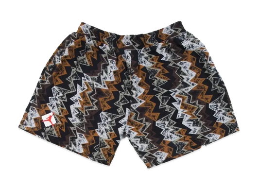 Air Jordan x Patta Shorts "Multi"